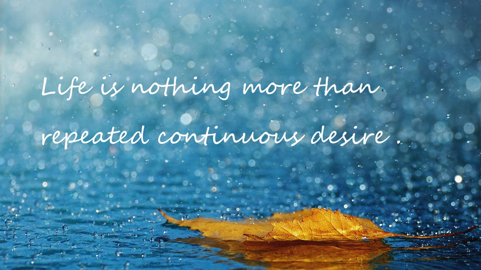 开云·体育官网-“中超俱乐部增设青训队伍,丰富梯队建设”,中超青训大户